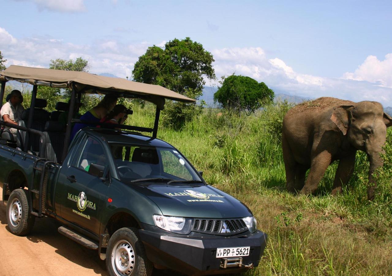 Mahoora Udawalawe - By Eco Team Hotell Eksteriør bilde