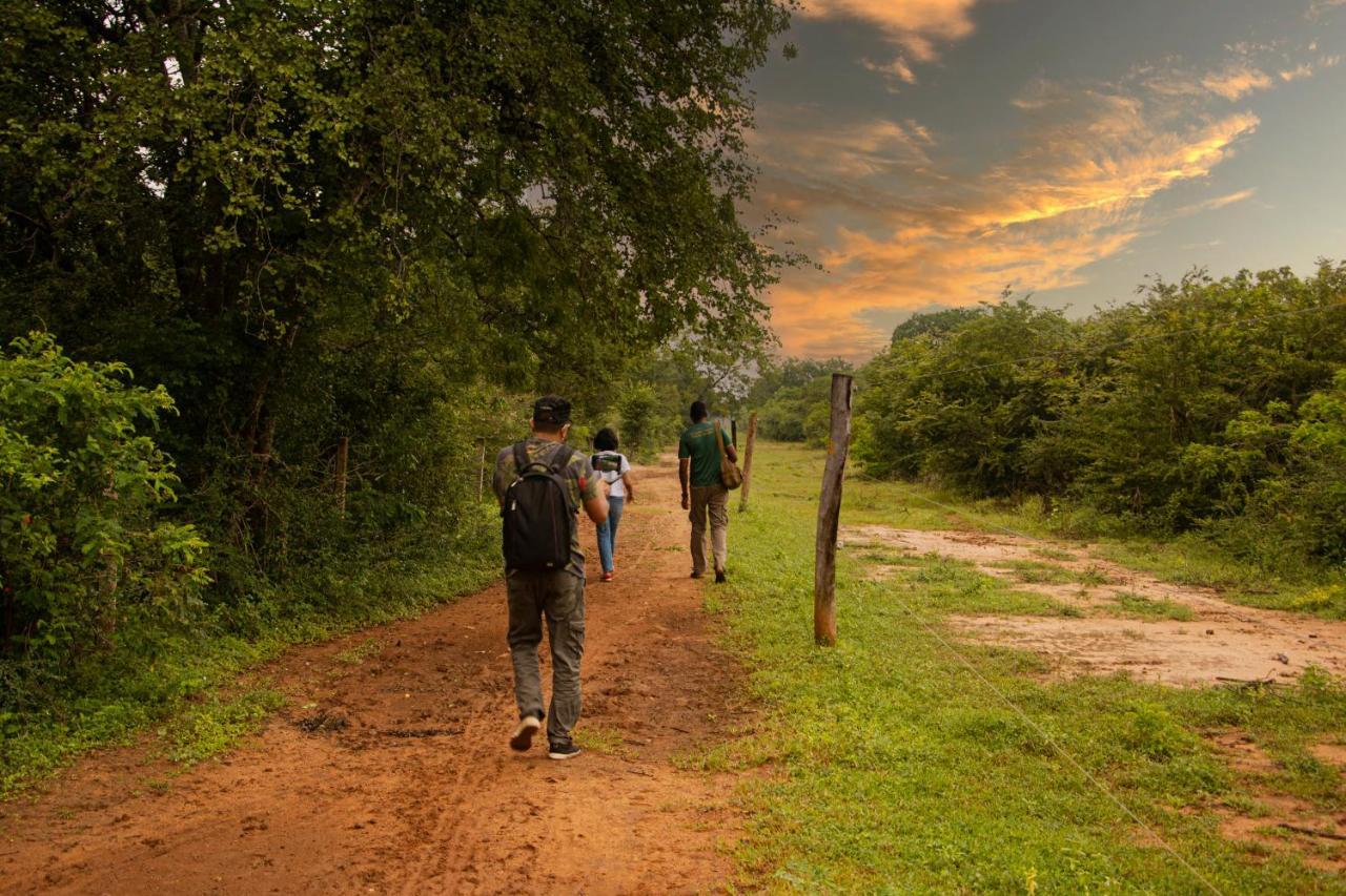 Mahoora Udawalawe - By Eco Team Hotell Eksteriør bilde