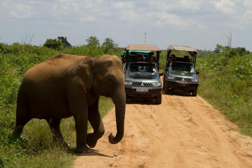 Mahoora Udawalawe - By Eco Team Hotell Eksteriør bilde