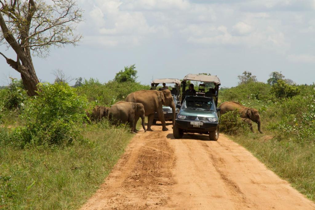 Mahoora Udawalawe - By Eco Team Hotell Eksteriør bilde