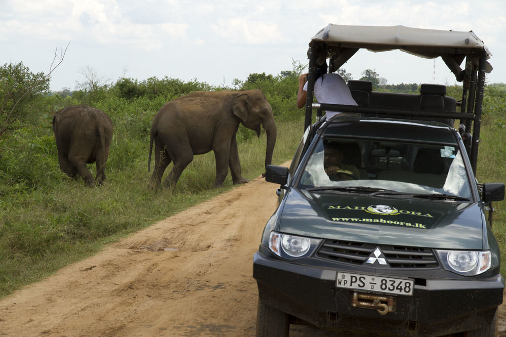 Mahoora Udawalawe - By Eco Team Hotell Eksteriør bilde