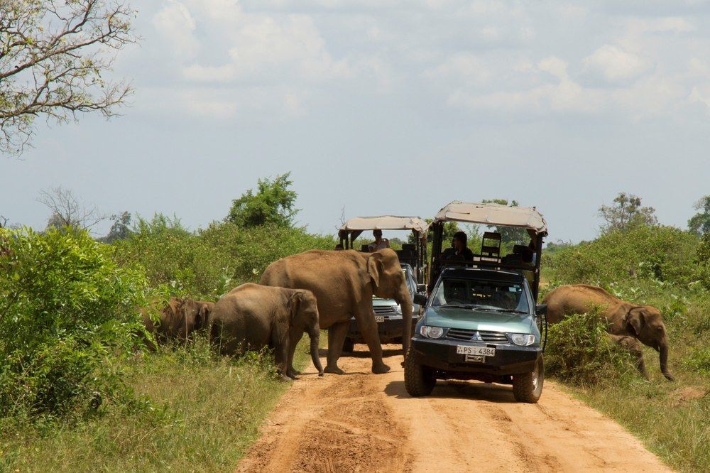 Mahoora Udawalawe - By Eco Team Hotell Eksteriør bilde